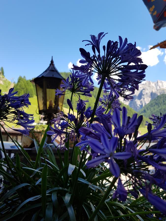 Garni Rubens B&B Selva di Val Gardena Exterior photo